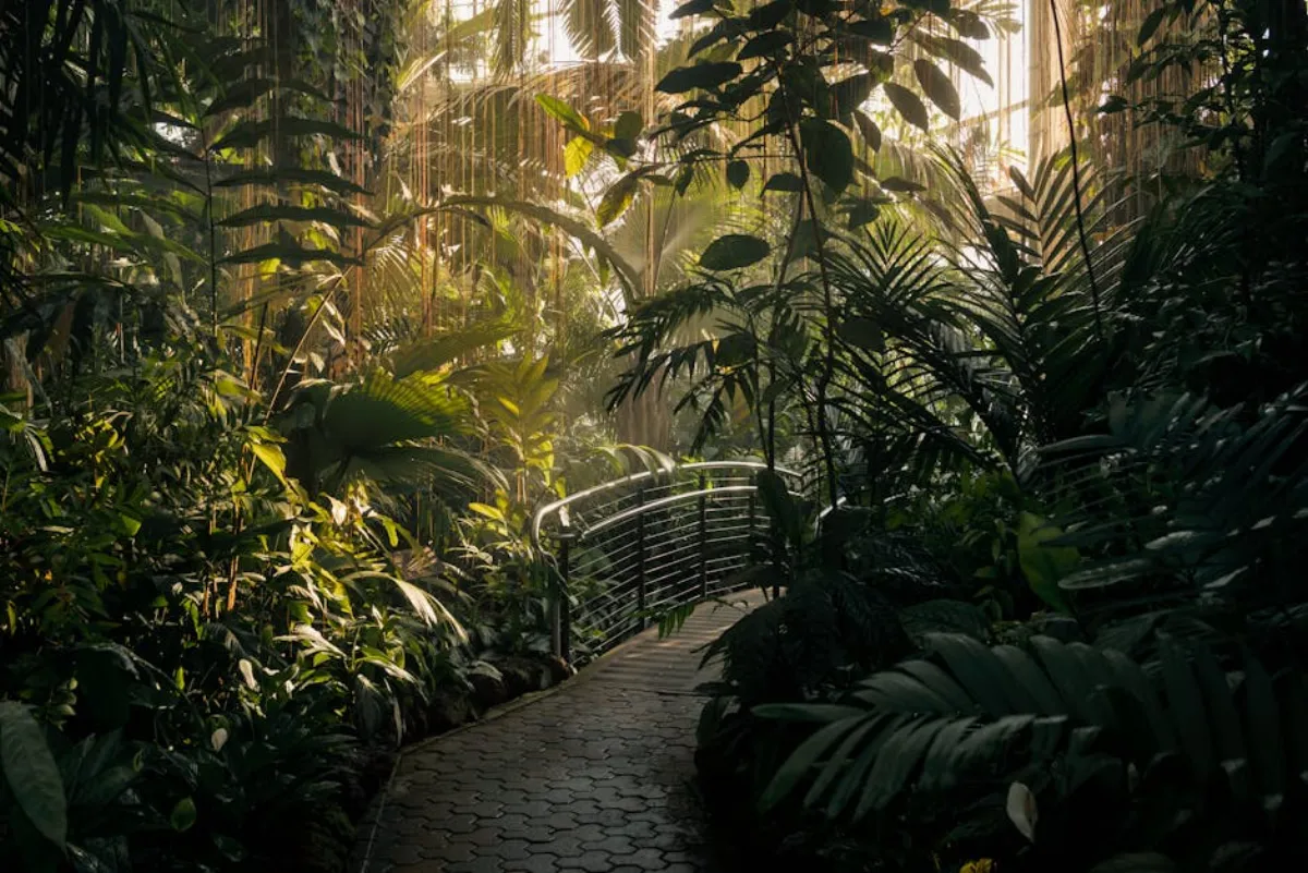 Active scene on the Atlanta Beltline