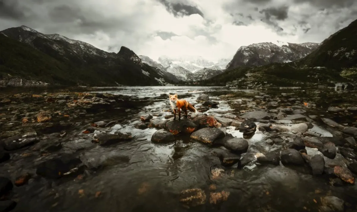 Trail runner with Rocky Mountain views near Denver