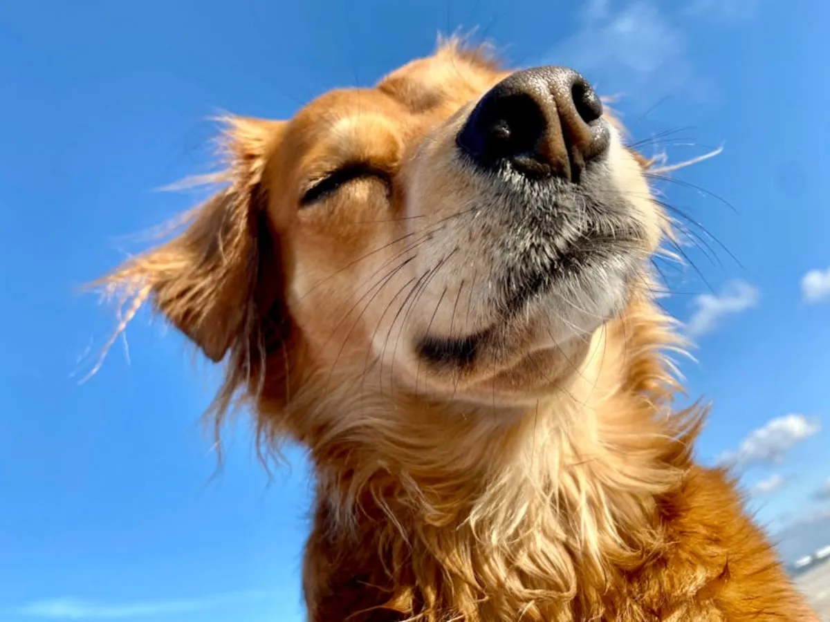 Beach running in Jacksonville, Florida